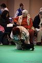 Crufts2011_2 536